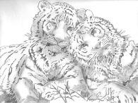 Tiger III